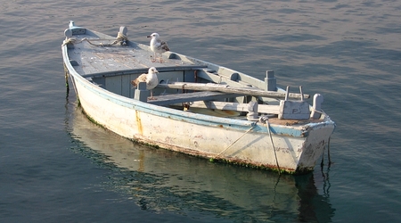 Moje koleżanki mewy:) – Rovinj, Chorwacja