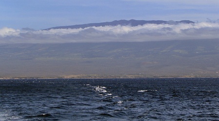 03 pride of maui 03 – Lahaina, Stany Zjednoczone Ameryki
