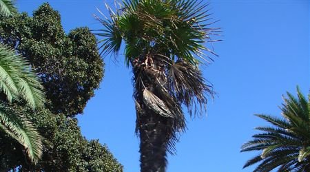 Reggio 18 – Reggio di Calabria, Włochy