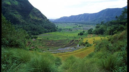 Indonezja