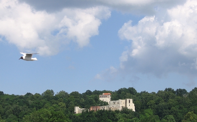 Kazimierz Dolny
