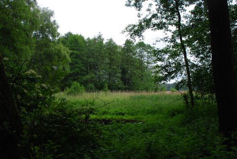 Kampinos maj 2009