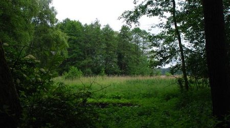 Kampinos maj 2009 – Polska