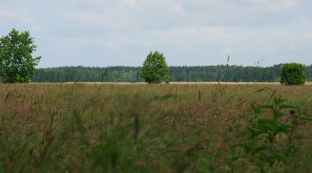 Kampinos maj 2009 – Polska