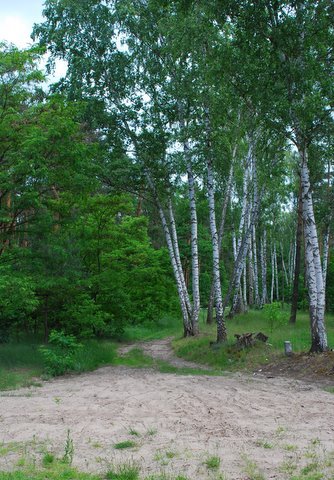 Kampinos maj 2009