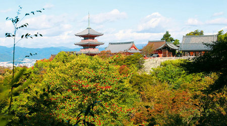 86316 - Tokio Obrazki z wyprawy czyli Japonia po raz pierws