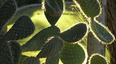 Arizona, USA – Stany Zjednoczone Ameryki