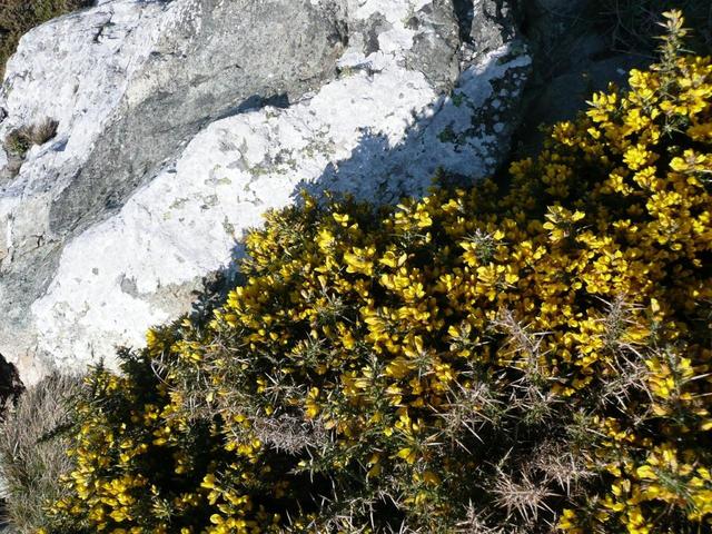 034 howth