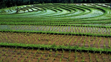 Indonezja