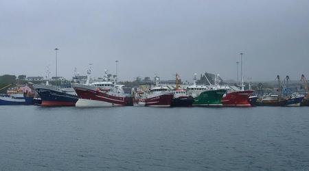kutry – Irlandia