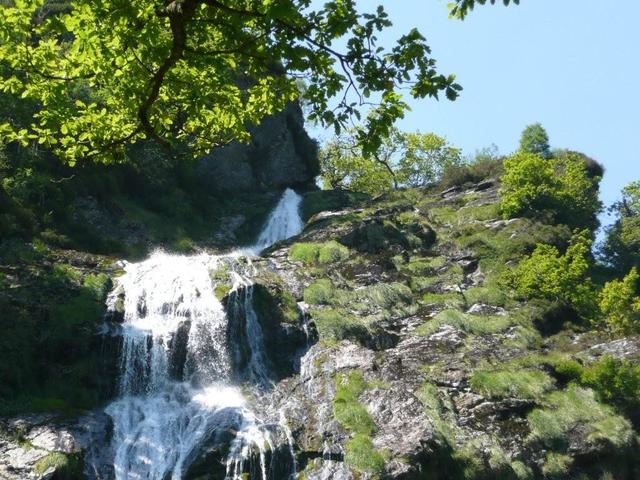 004 powerscourt waterfall