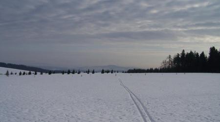 Zima-Austria – Vordingborg, Dania