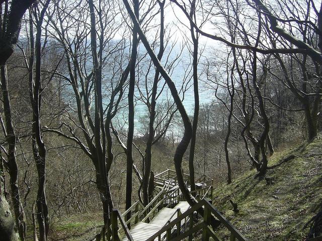 Mons Klint-Dania