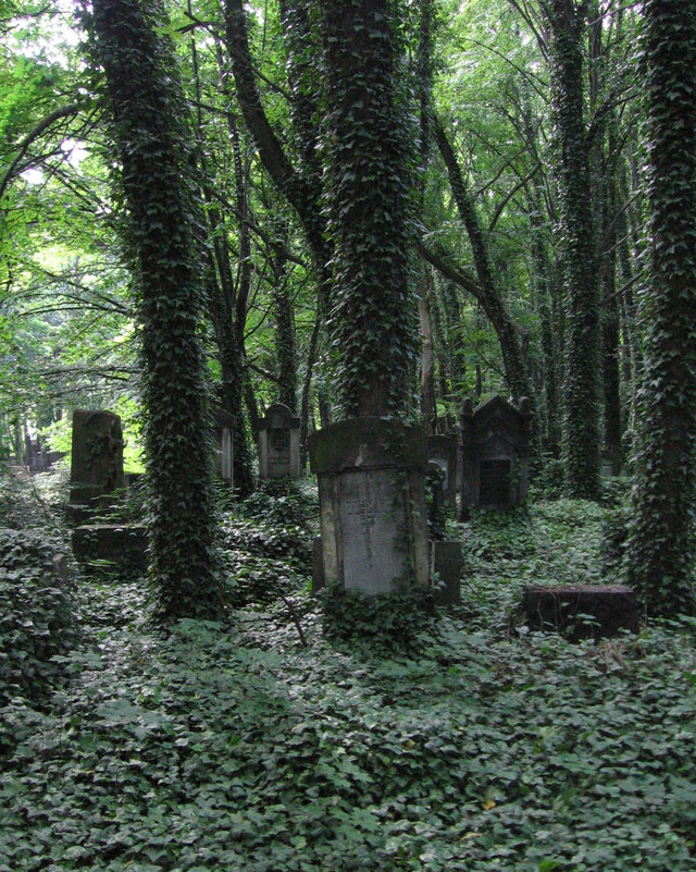 Cmentarz żydowski