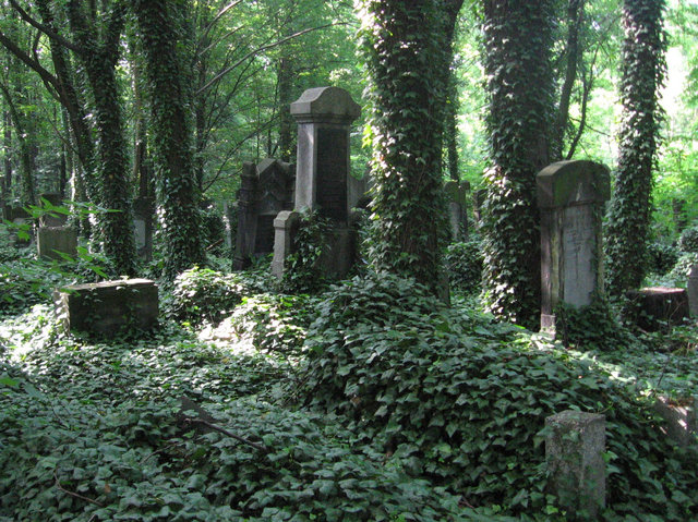 Cmentarz żydowski