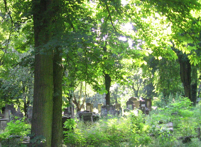 Cmentarz żydowski