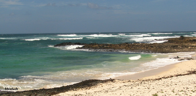 Img 0884
