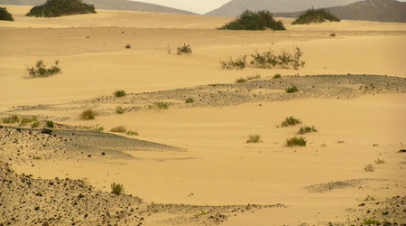 jest też pustynia – Fuerteventura, Hiszpania