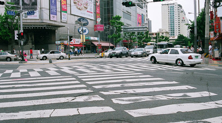 Sprytna zebra – Pusan, Korea Południowa
