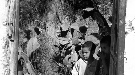 po drodze do Taroudant – Maroko