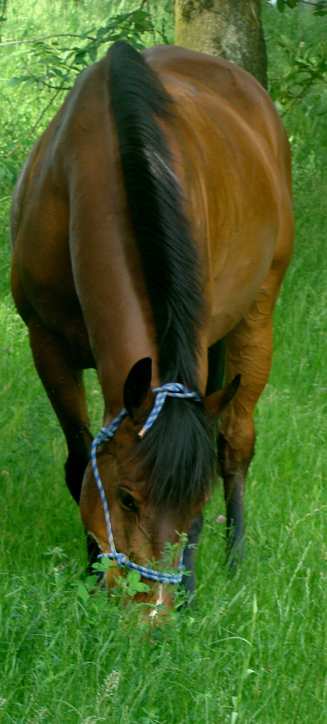 Dsc04302