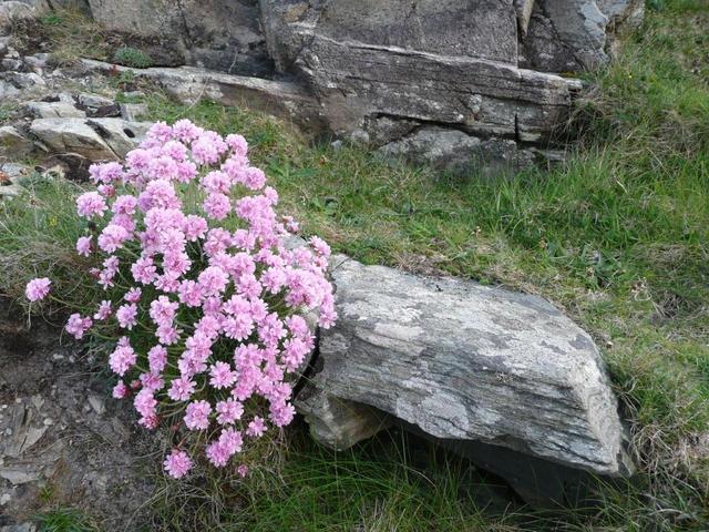009 malin head