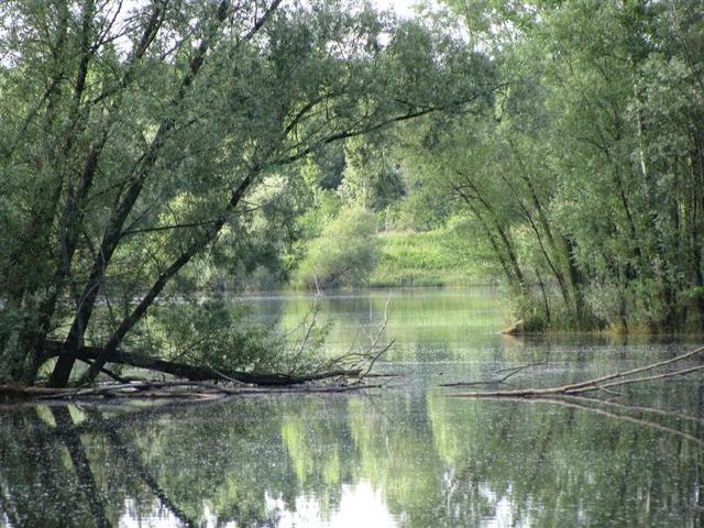 Krzyzanowice  11 