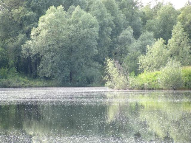 Krzyzanowice  12 