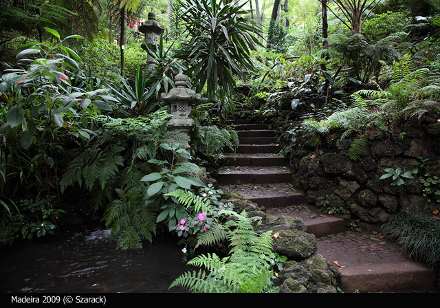 Jardim Tropical Garden