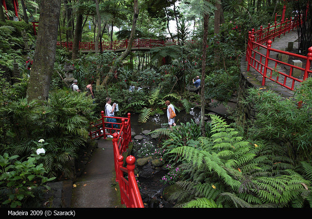 Jardim Tropical Garden