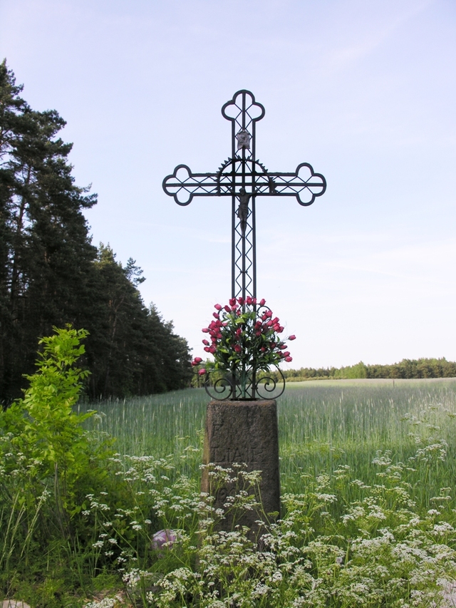Foto Sylwester Nicewicz -  przydrozny krzyz