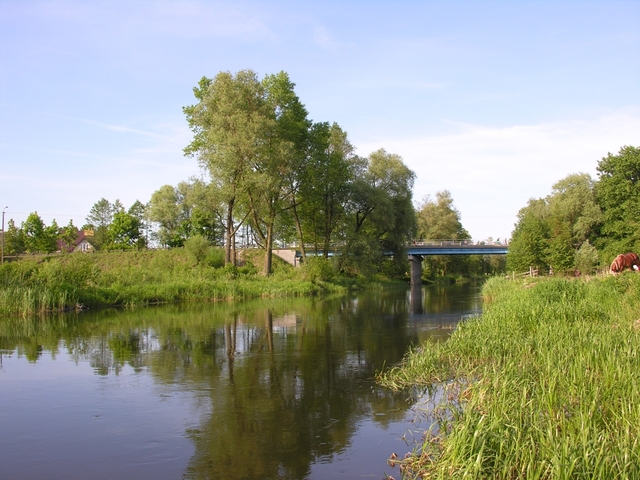 Foto Sylwester Nicewicz   Koziol i rzeka Pisa latem.