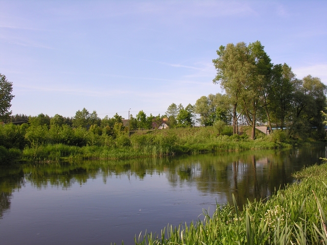 Foto Sylwester Nicewicz   Koziol i rzeka Pisa latem.