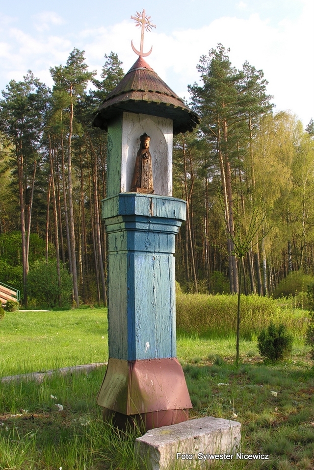 Foto Sylwester Nicewicz - Kozioł 