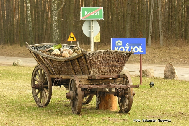 Foto Sylwester Nicewicz - Kozioł  