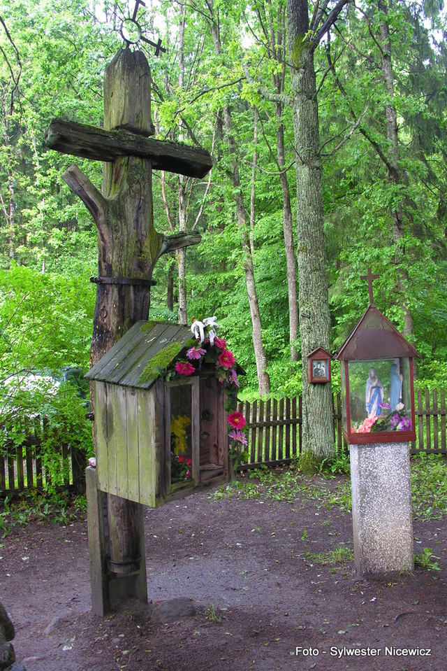 Foto: Sylwester Nicewicz - "Świete Miejsce"  nad rzeką Rospudą.