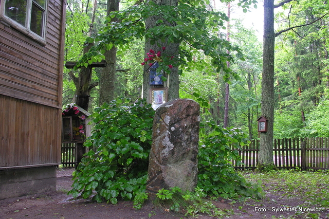 Foto: Sylwester Nicewicz - "Świete Miejsce"  nad rzeką Rospudą.