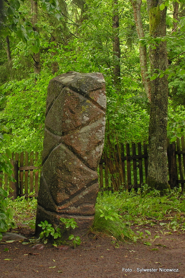 Foto: Sylwester Nicewicz - "Świete Miejsce"  nad rzeką Rospudą.