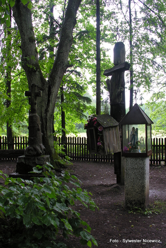 Foto: Sylwester Nicewicz - "Świete Miejsce"  nad rzeką Rospudą.