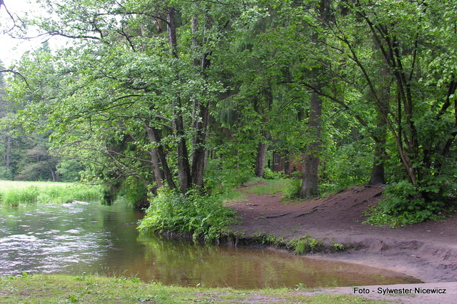 Foto: Sylwester Nicewicz - "Świete Miejsce"  nad rzeką Rospudą.