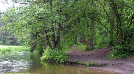 Foto: Sylwester Nicewicz - "Świete Miejsce"  nad rzeką Rospudą. – Dowspuda, Polska