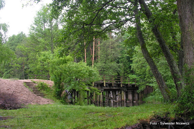 Foto: Sylwester Nicewicz - "Świete Miejsce"  nad rzeką Rospudą.