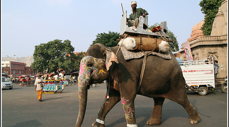 Indie – Jaipur