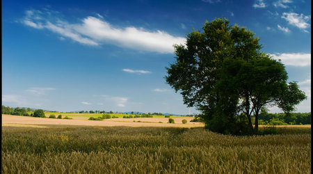 Pejzaż – Polska