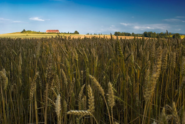Pejzaż