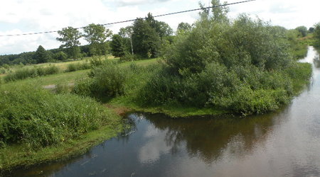 Krajobraz- Wola Marzeńska k.Łask – Polska