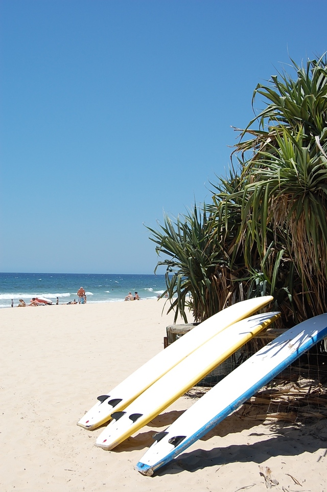 surfers paradise