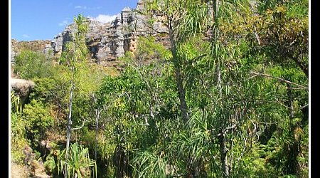 Madagaskar – Park Narodowy Isalo