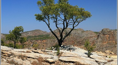Madagaskar – Park Narodowy Isalo
