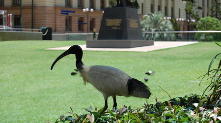 Brisbane – Australia
